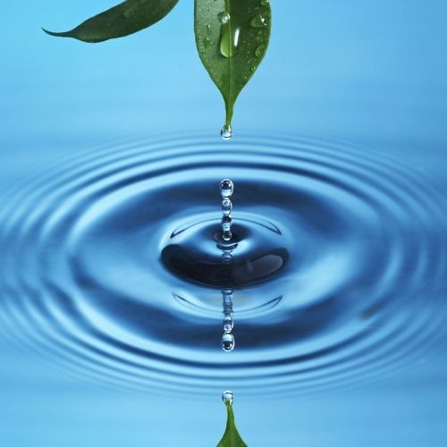 Silver Solutions MedSpa Silver Solutions MedSpa